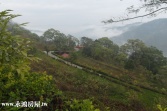 售南投縣國姓鄉南港村農建地農地+建地8,616萬