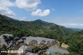售南投縣草屯鎮山茶巷農地農地2,450萬