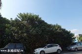 售南投縣草屯鎮㊣芬草路農地農地2,604萬