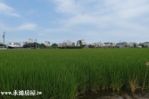 售南投縣草屯鎮草屯白厝角農地農地4,475萬
