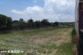 售南投縣草屯鎮望溪樓田地農地1,792萬